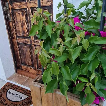 Carlana House 度假居 帕雷迪什迪科拉