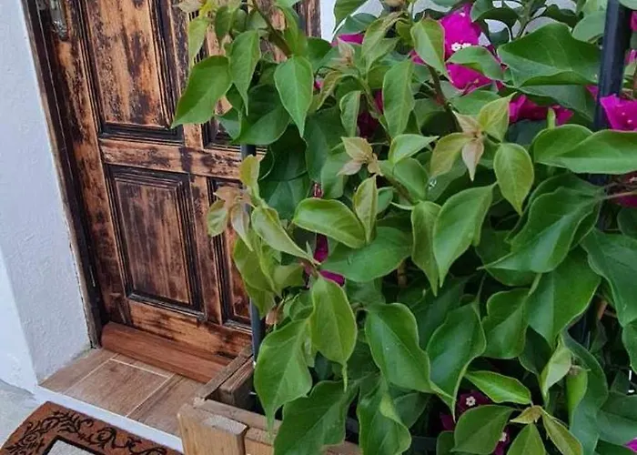 Carlana House 度假居 帕雷迪什迪科拉